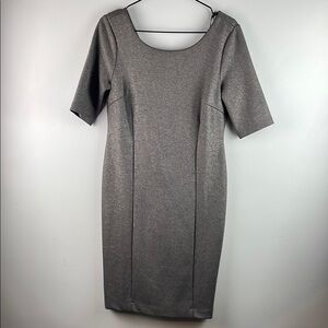 Banana Republic Metallic Gray Dress Size 4